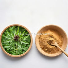 Highly Effective Senna Alata Extract for Anti-Aging Benefits